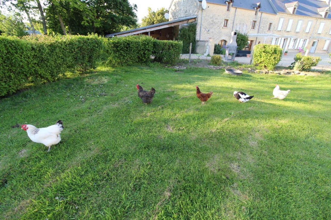La Ferme Aux Chats Formigny Exteriér fotografie